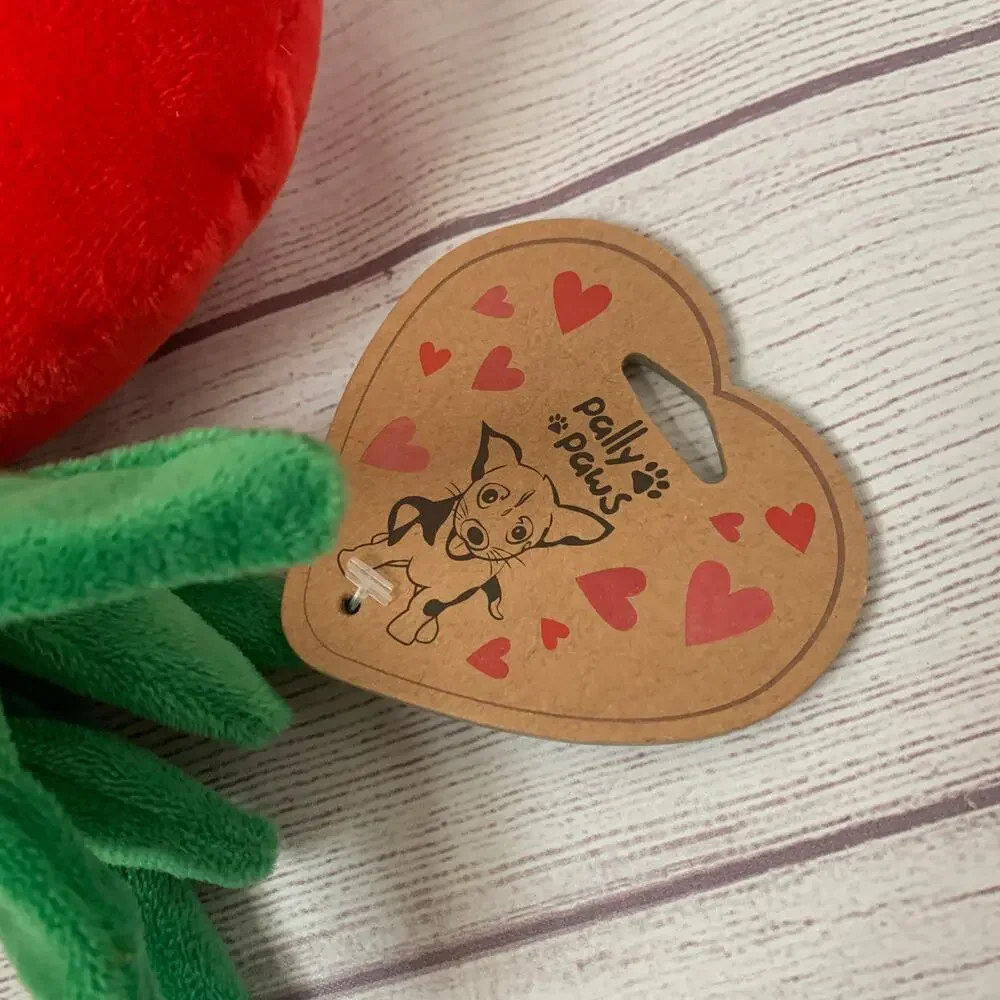 Pally Paws Red Heart Shaped Strawberry Plush Dog Toy with Embroidered Hearts 10